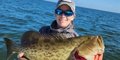 Grouper Fishing in Florida | 4 Hour Grouper Fishing Trip